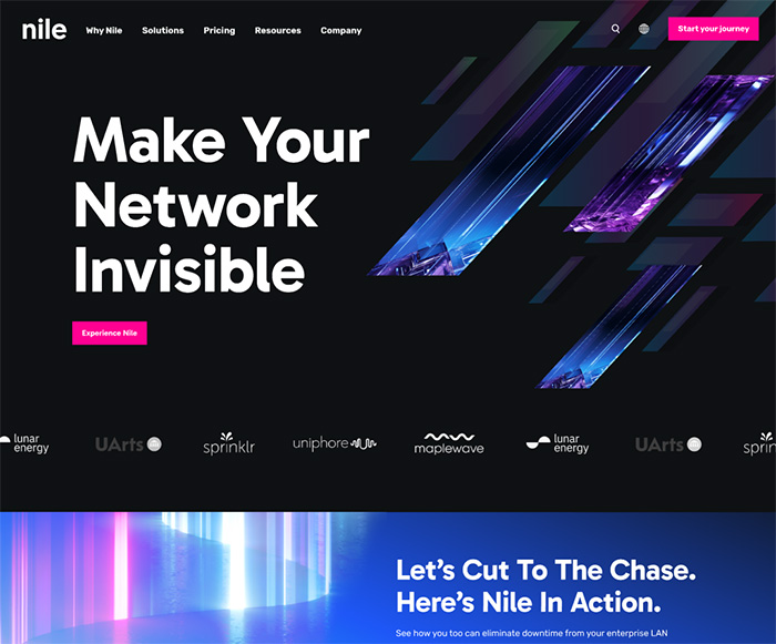 Nile's homepage banner